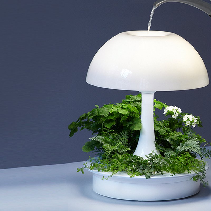 Ambienta Lamp Red Square Flowers, Grow Light Table Lamp