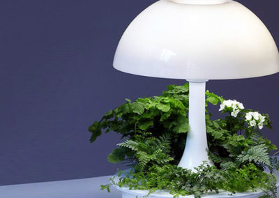 Ambienta Lamp - Red Square Flowers