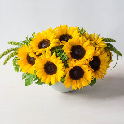 sunflowers