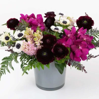 Designer's Choice (add your preferences)