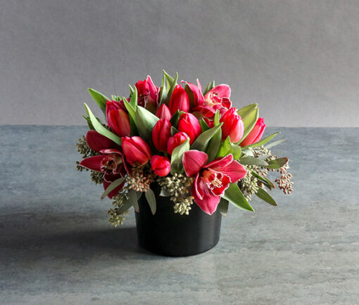 Tulip Love