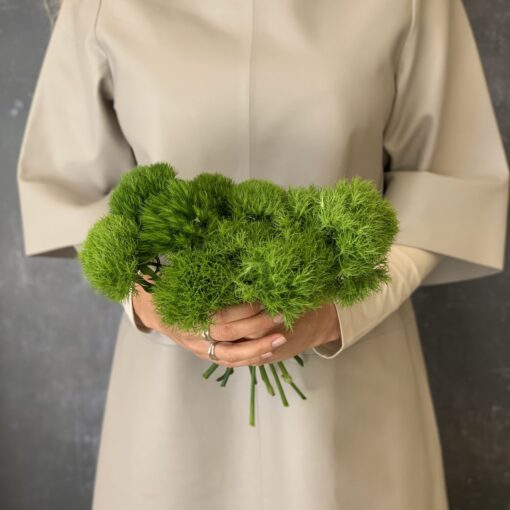 Dianthus Bouquet
