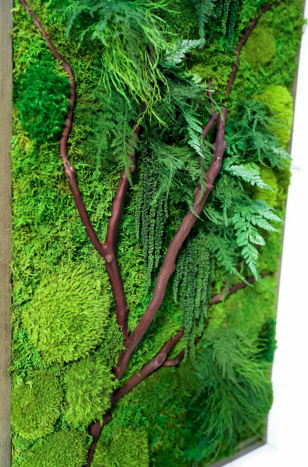 Moss Art 20w x 20h