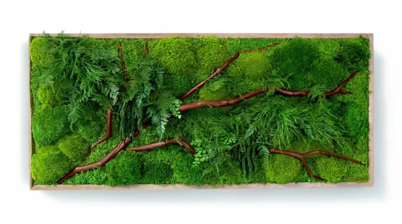 red-manzanita-moss-art-scaled